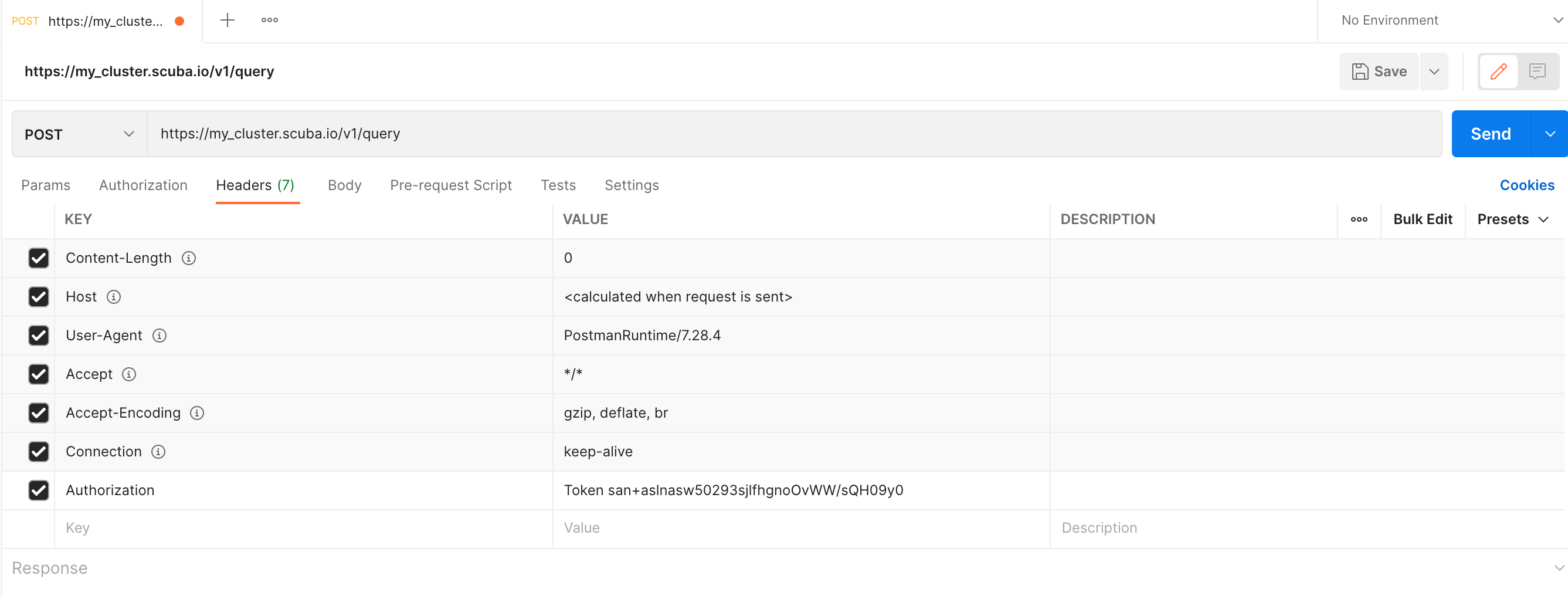 Screenshot showing the Postman UI with example authorization token.